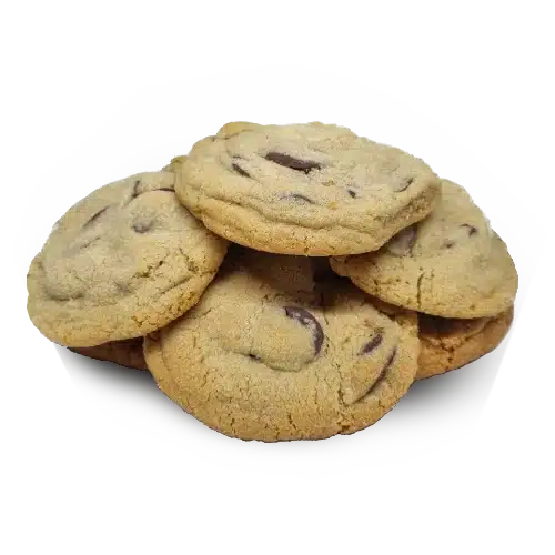 Chocolate chip cookies freshly baked